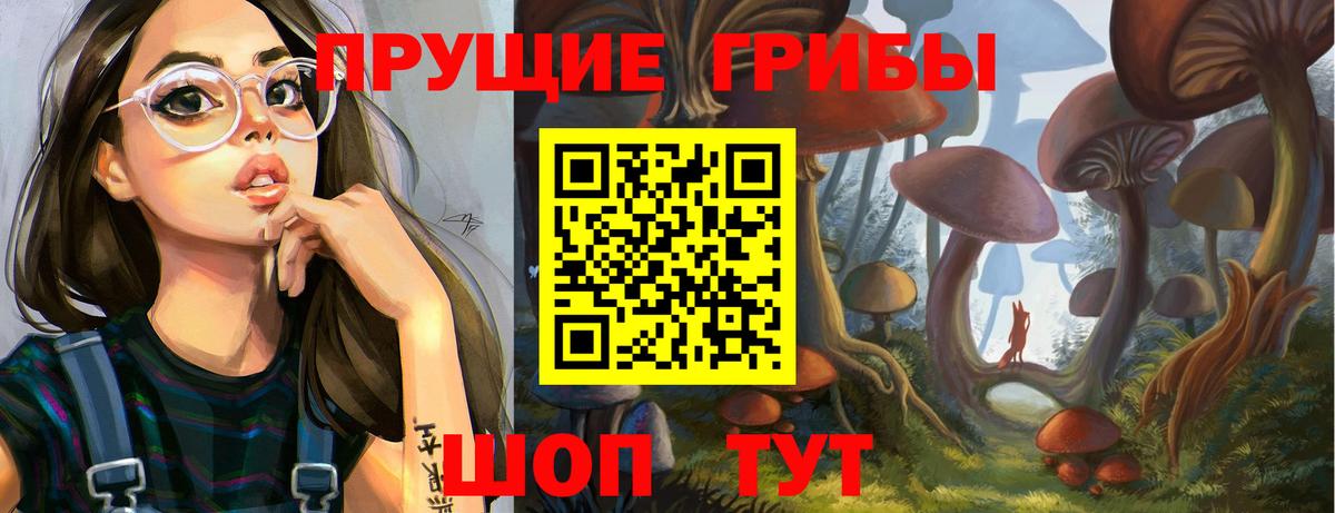 Псилоцибиновые грибы Psilocybine cubensis Алушта